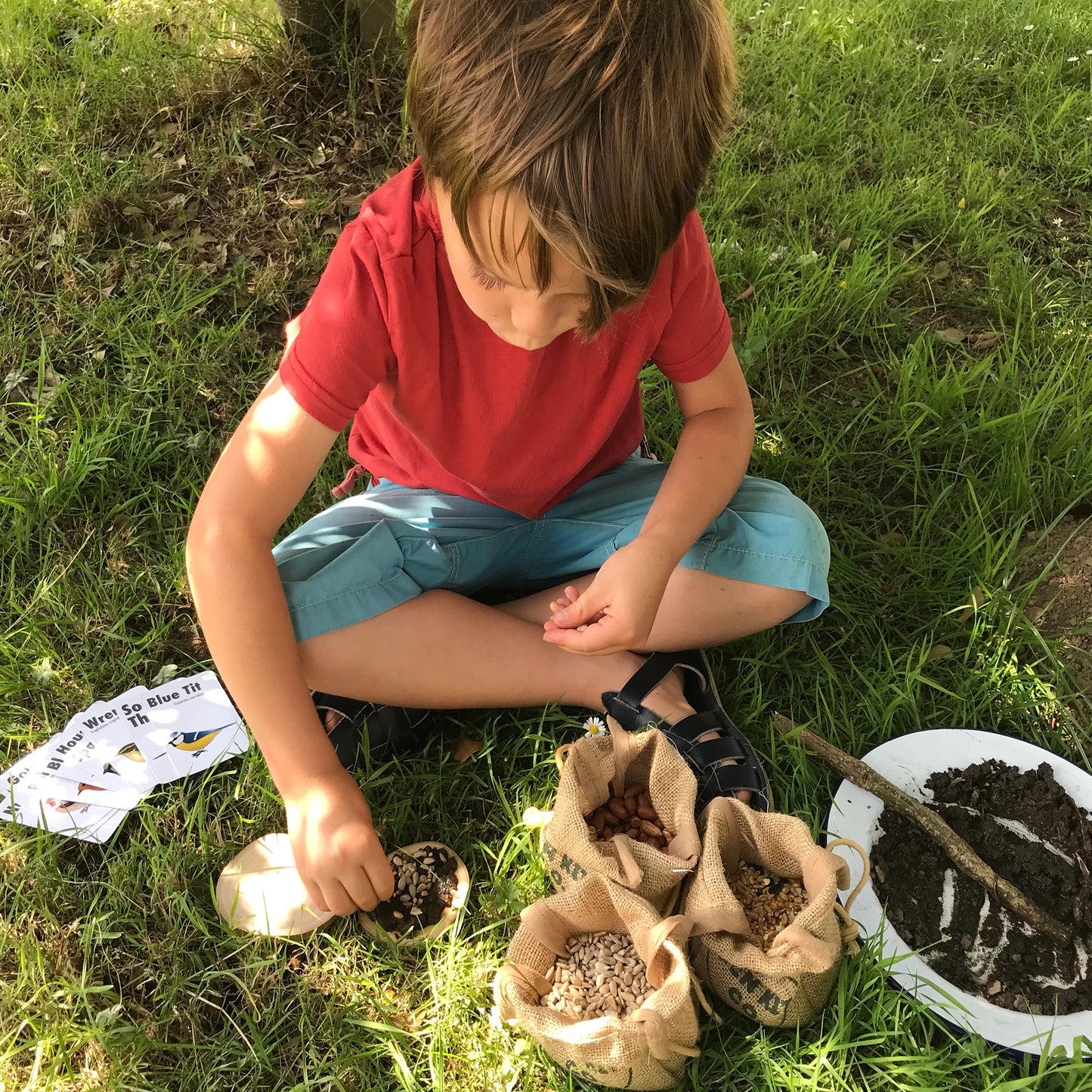 The Make a Pizza for the Birds Kit
