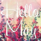 The Month of May - The Forgotten Toy Shop